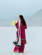 Load image into Gallery viewer, AIK | LAWN 25 | 9