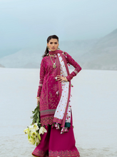 Load image into Gallery viewer, AIK | LAWN 25 | 9