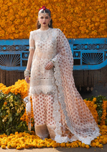 Load image into Gallery viewer, HUSSAIN REHAR | DARLINGS FESTIVE 25 | ZAREEN