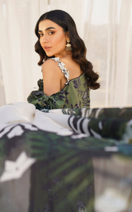 ASIFA NABEEL | MERAKI SUMMER 24 | DARCY