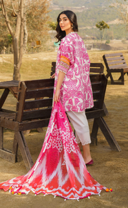 ASIFA NABEEL | MERAKI SUMMER 24 | FIA