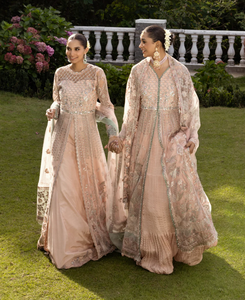 XENIA | YESFIR LUXURY | MAISHA