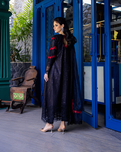 MUSHQ | ORIENT EXPRESS 24 | EXOTICA