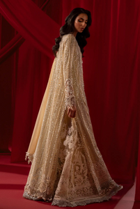 SANA SAFINAZ | NURA FESTIVE COLLECTION 24  | N241-008-3CT