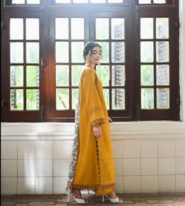 SAAD BIN SHAHZAD | FAL PRET 24 | NARGIS