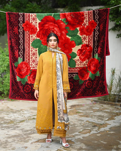 SAAD BIN SHAHZAD | FAL PRET 24 | NARGIS