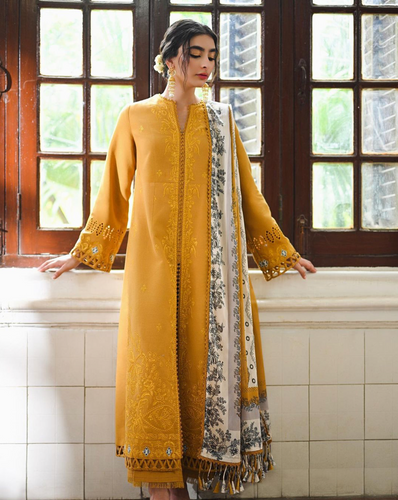 SAAD BIN SHAHZAD | FAL PRET 24 | NARGIS
