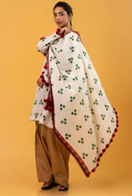 Load image into Gallery viewer, SANA SAFINAZ | MAHAY WINTER 24 | 1B