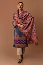 Load image into Gallery viewer, SANA SAFINAZ | MAHAY WINTER 24 | 19B