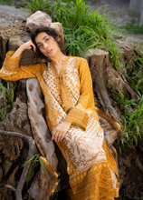 Load image into Gallery viewer, SOBIA NAZIR | FALL EDIT 24 | DESIGN 1A
