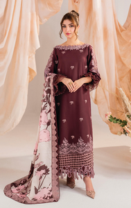 ASIFA NABEEL | MERAKI WINTER 24 | 12
