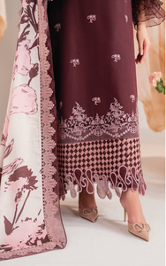 ASIFA NABEEL | MERAKI WINTER 24 | 12