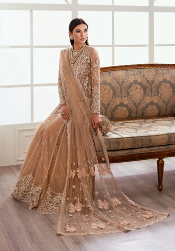 CRIMSON X SAIRA SHAKIRA  | WEDDING 24 | STARDUST
