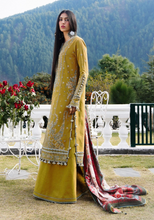Load image into Gallery viewer, HUSSAIN REHAR | WINTER SHAWL 24 | SEHR