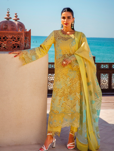 RANGRASIYA | LUXURY LAWN | MINAAL