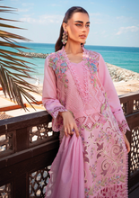 Load image into Gallery viewer, RANGRASIYA | LUXURY LAWN | NATALIA