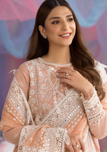Load image into Gallery viewer, SOBIA NAZIR | LUXURY LAWN 25 | 9B