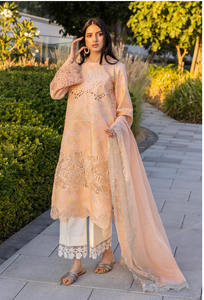 RANGRASIYA | CARNATION LAWN | ZINNIA