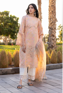RANGRASIYA | CARNATION LAWN | ZINNIA