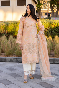 RANGRASIYA | CARNATION LAWN | ZINNIA