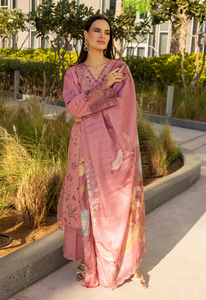 RANGRASIYA | CARNATION LAWN | ORCHID