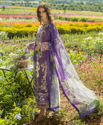 MUSHQ | SECRET GARDEN HEMLINE 25 | CELESTIAL BLOOM