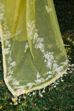 Load image into Gallery viewer, SANA SAFINAZ | LUXURY LAWN 25  | 5B