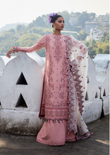 Load image into Gallery viewer, HUSSAIN REHAR | LUXURY LAWN 25 | PEAAR