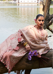 HUSSAIN REHAR | LUXURY LAWN 25  | MARI