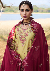 HUSSAIN REHAR | LUXURY LAWN 25  | MINTED