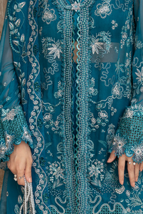 QALAMKAR | CHIFFONS 25 | NESSA