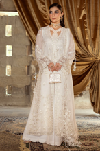 Load image into Gallery viewer, QALAMKAR | CHIFFONS 25 | ROISE