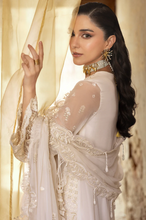 Load image into Gallery viewer, QALAMKAR | CHIFFONS 25 | ROISE