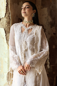 QALAMKAR | CHIFFONS 25 | ROISE
