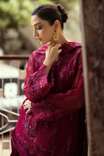 Load image into Gallery viewer, QALAMKAR | CHIFFONS 25 | SIOFE
