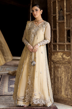 Load image into Gallery viewer, QALAMKAR | CHIFFONS 25 | HEELA