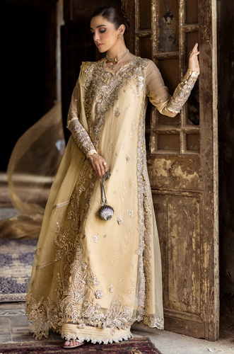 QALAMKAR | CHIFFONS 25 | HEELA