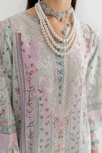 QALAMKAR | SILK 25 | IDA