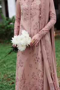 QALAMKAR | LINEN 25 | VEIL