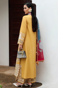 QALAMKAR | LINEN 25 | GLEAM