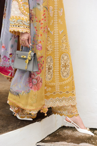 QALAMKAR | LINEN 25 | GLEAM