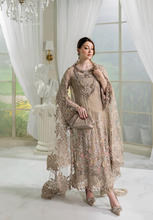 Load image into Gallery viewer, MARIA B  | CHIFFONS 25 |   MPC-25-107