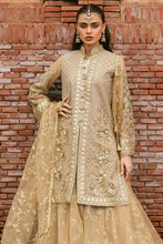 Load image into Gallery viewer, MOHSIN NAVEED RANJHA | ZARLISH MAKHFI 25 | ROSHNI