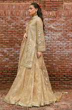 Load image into Gallery viewer, MOHSIN NAVEED RANJHA | ZARLISH MAKHFI 25 | ROSHNI