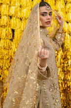 Load image into Gallery viewer, MOHSIN NAVEED RANJHA | ZARLISH MAKHFI 25 | ROSHNI