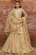 Load image into Gallery viewer, MOHSIN NAVEED RANJHA | ZARLISH MAKHFI 25 | ROSHNI