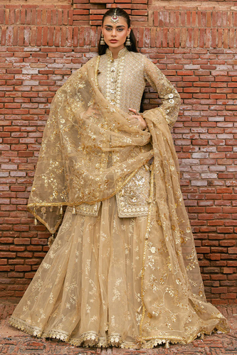 MOHSIN NAVEED RANJHA | ZARLISH MAKHFI 25 | ROSHNI