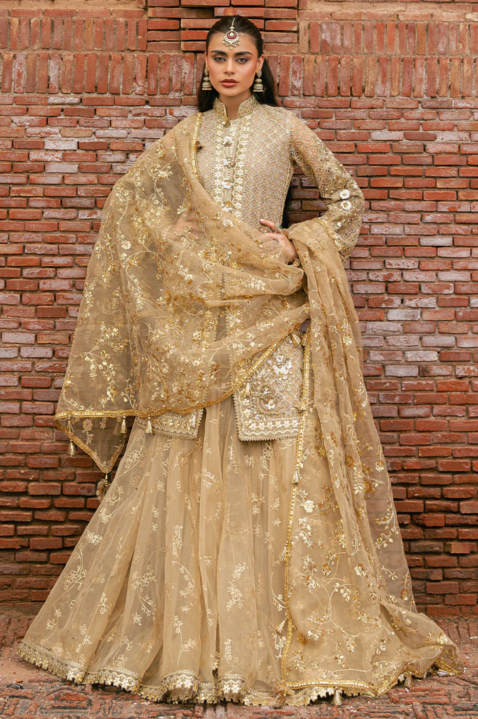 MOHSIN NAVEED RANJHA | ZARLISH MAKHFI 25 | ROSHNI