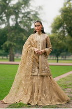 Load image into Gallery viewer, MOHSIN NAVEED RANJHA | ZARLISH MAKHFI 25 | ROSHNI