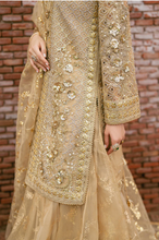 Load image into Gallery viewer, MOHSIN NAVEED RANJHA | ZARLISH MAKHFI 25 | ROSHNI